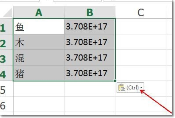 Word文档中的身份证号怎么复制到Excel？