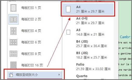 如何将两张a4纸的内容缩印在一张a4纸里？