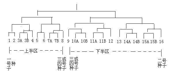 20人乒乓球單打比賽流程圖怎樣畫