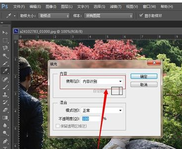 怎样用PS把日期p掉？