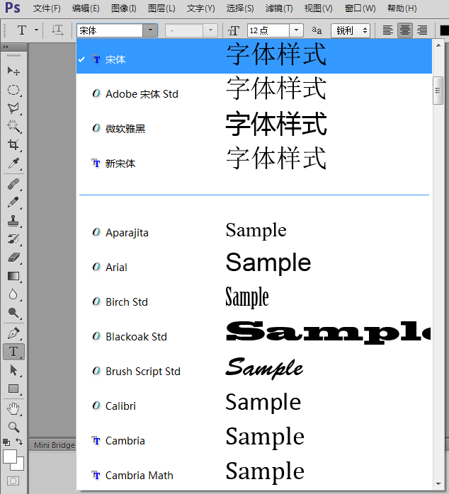 photoshopcs6字体预览能不能调大点