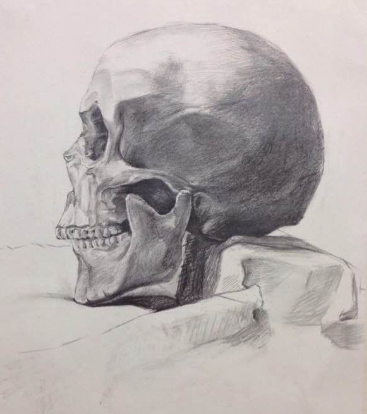 素描怎么画骷髅头教程