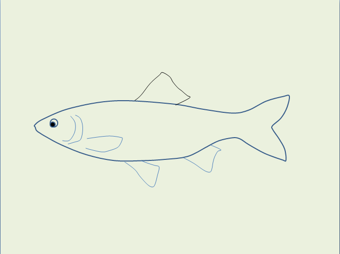怎样画鱼图片大全步骤?