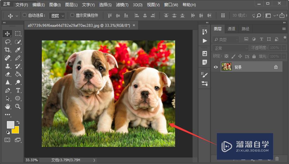 Photoshop里钢笔工具到底怎么使用？