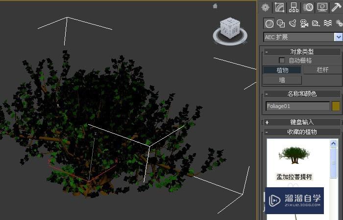 3DMax模型AEc扩展植物如何使用？