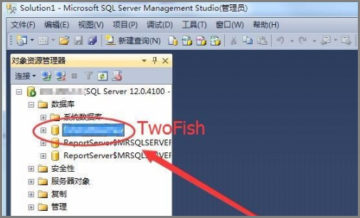 sql数据库如何导出？