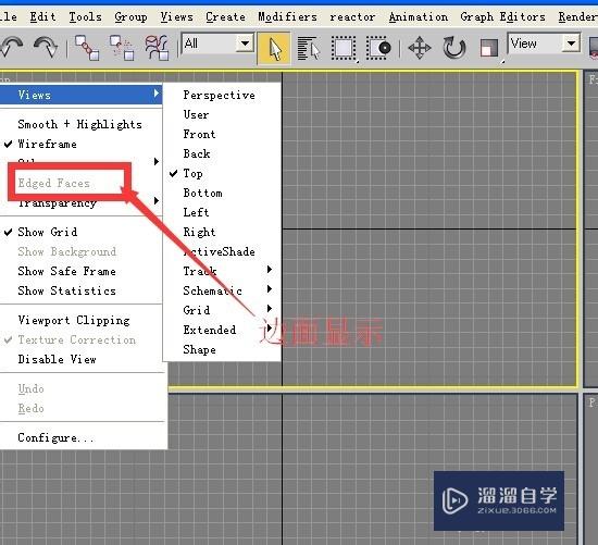 3DSMax视图与显示的操作技巧