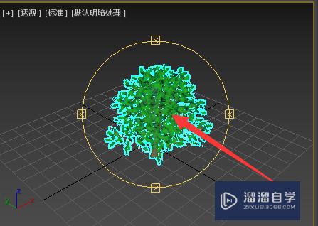 3Ds Max无法撤销视图中的旋转怎么办？