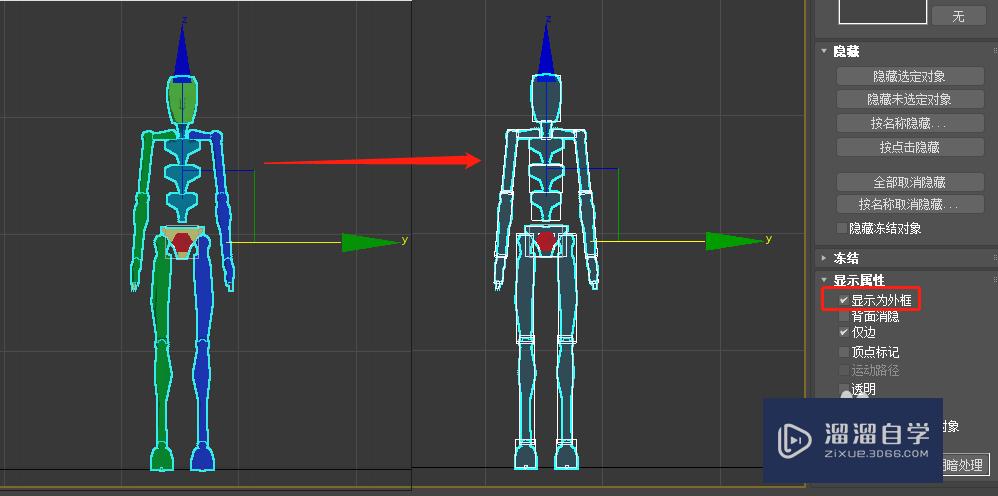 3Ds Max 怎样使选中的骨骼保持外框显示？