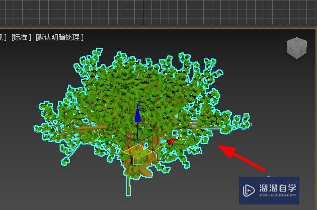 3DSMax如何修剪植物模型？