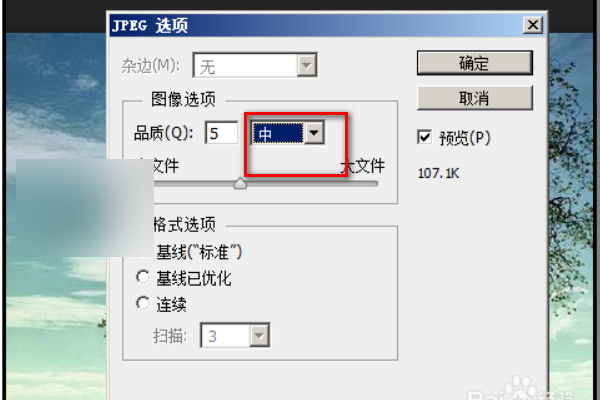 PS文件太大无法保存