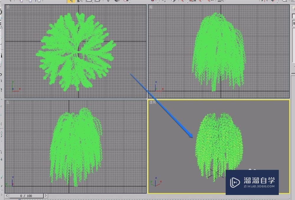 3Ds Max AEc扩展之植物的“参数”卷展栏的设置