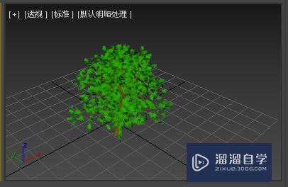 3Ds Max如何创建植物模型草稿图？