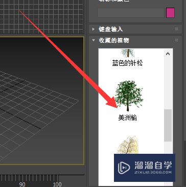 3Ds Max如何创建植物模型草稿图？