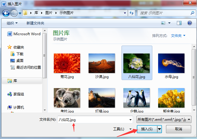 如何把照片插入到Word表格中？