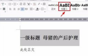 WPS中怎样设置多级标题？