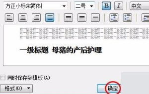 WPS中怎样设置多级标题？