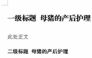 WPS中怎样设置多级标题？