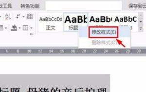 WPS中怎样设置多级标题？