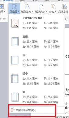 怎样在WPS页面显示页边距？