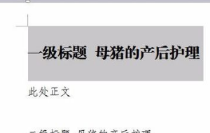 WPS中怎样设置多级标题？