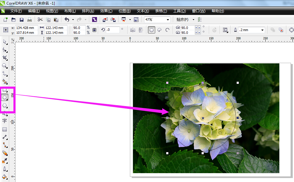 coreldraw里面怎么抠图抠图怎么删除掉不要的图