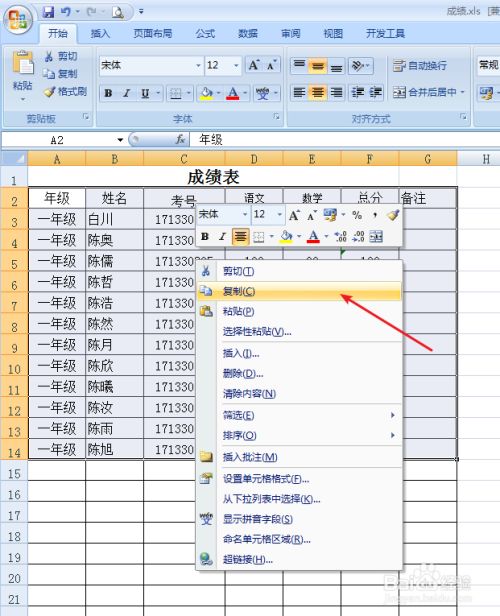 Excel如何复制到Word表格中？