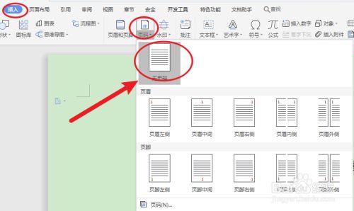 WPS首页和目录不要页码怎么设置？