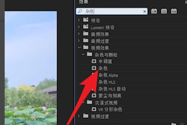 怎么用PR消除噪点？