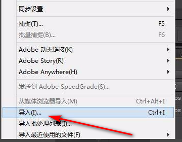 PRemiere怎么裁剪视频画面大小？