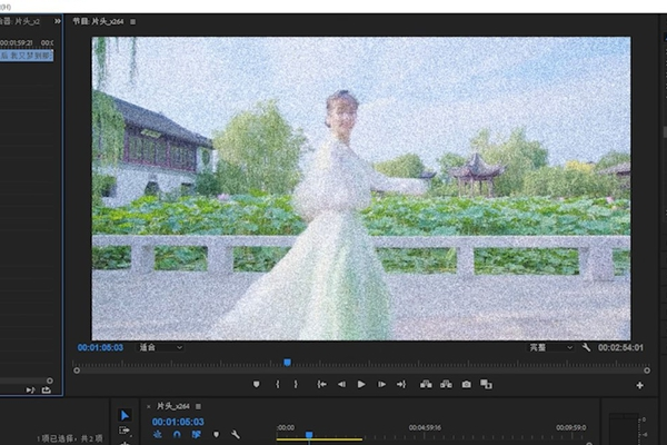 怎么用PR消除噪点？