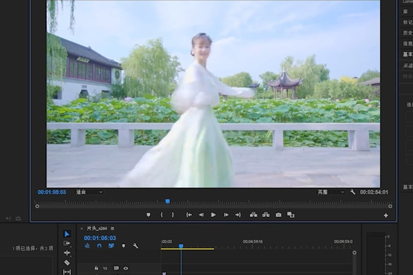 怎么用PR消除噪点？