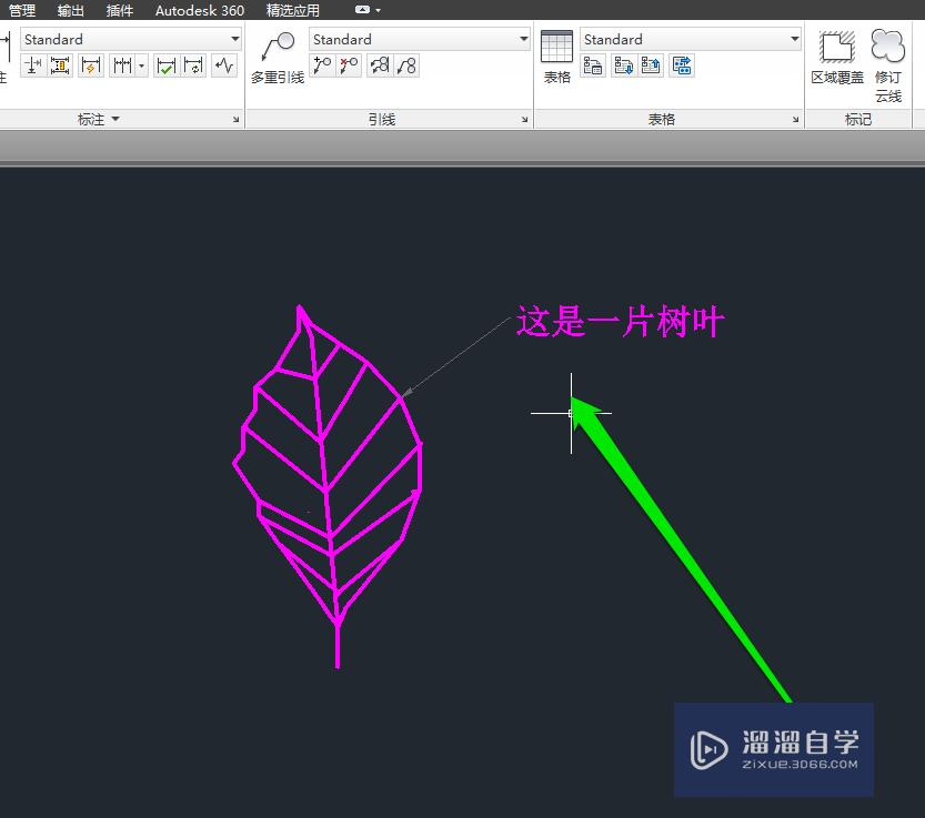 怎样在CAD中添加引线文字？