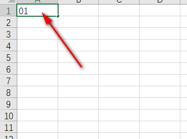在Excel中输入01时老变为1，那如何输入01？