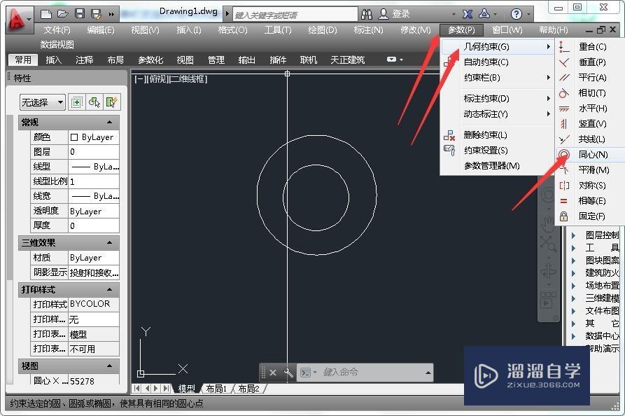 AutoCAD中几何约束同心怎么使用？