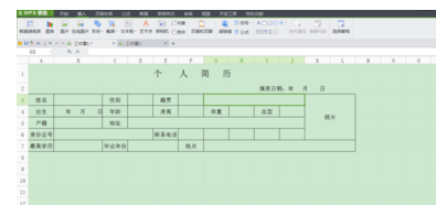 WPS Excel 怎么制作复选框类似下图？