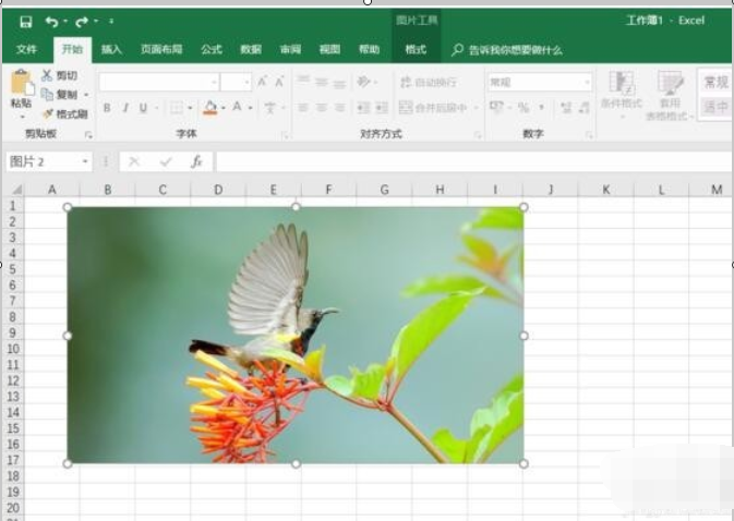 怎么把excel里的图片背景设为透明