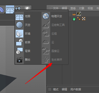 为什么C4D r16渲染草坪，不能使用天空？