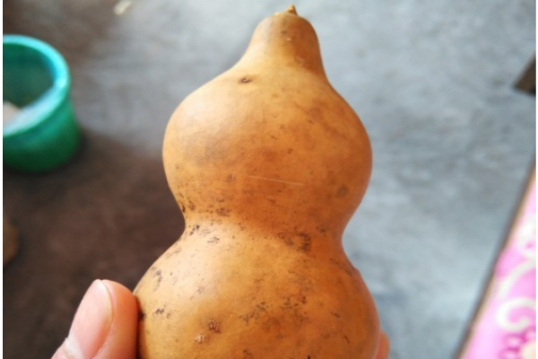 葫芦彩绘画法如何上色？
