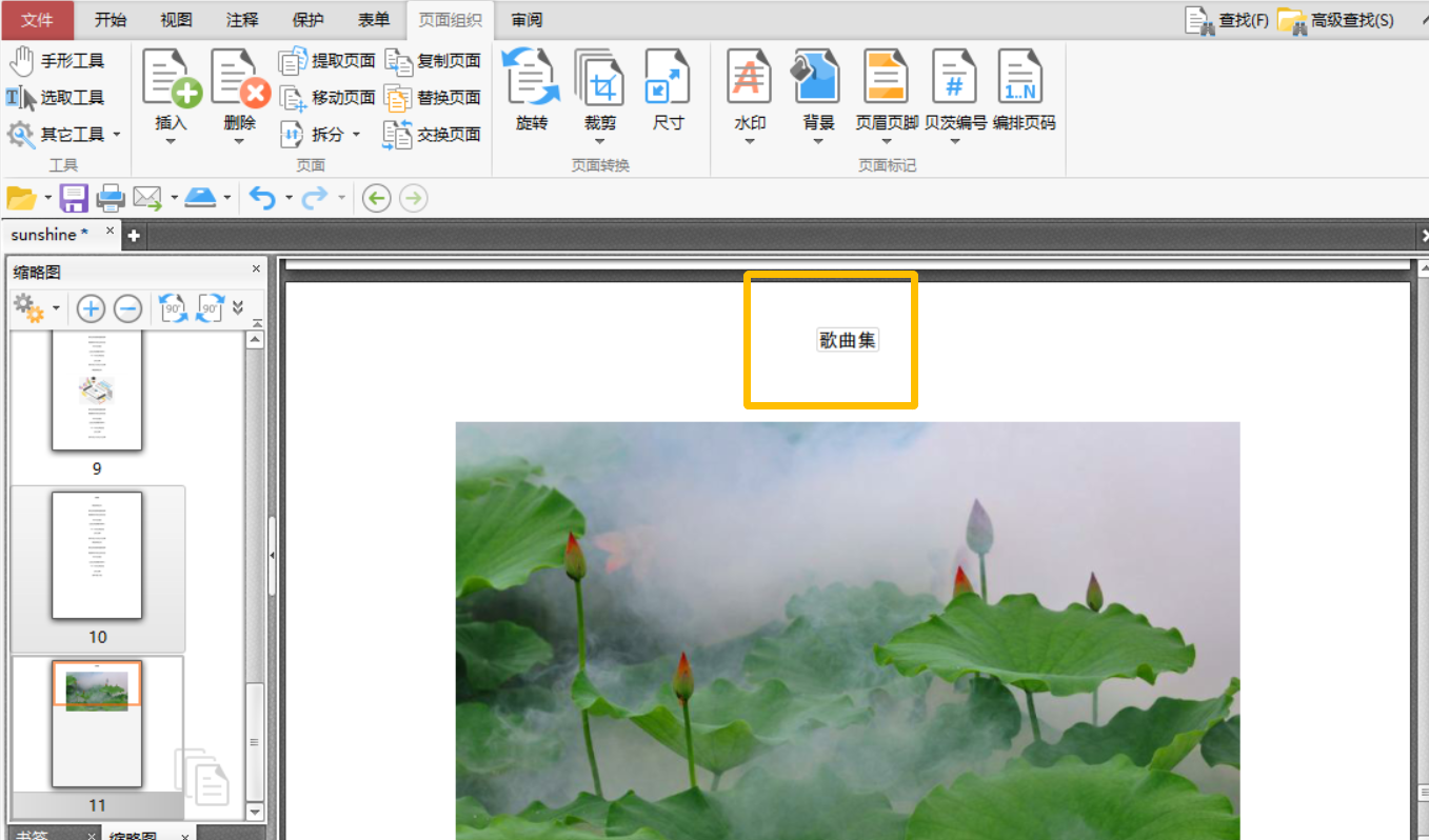 在PDF文件中添加页眉页脚怎么操作？