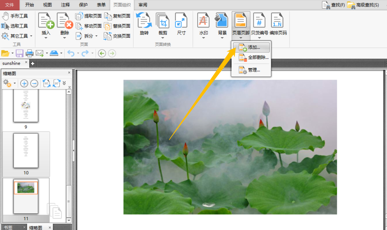 在PDF文件中添加页眉页脚怎么操作？
