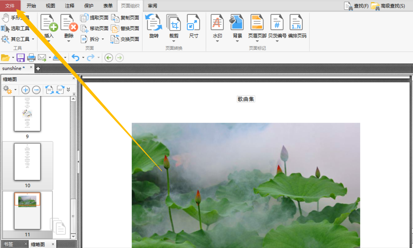 在PDF文件中添加页眉页脚怎么操作？
