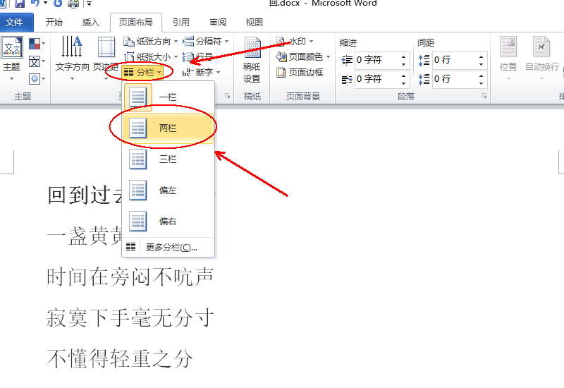 Word里面的，如何把一页文件调整成左右两部分的那种显示格式？