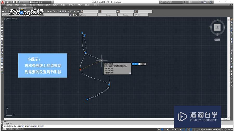 CAD怎样画样条曲线？