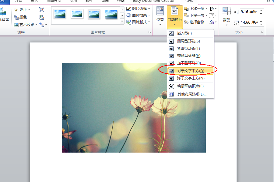 WPS文字 怎么把图片和文字组合起来？