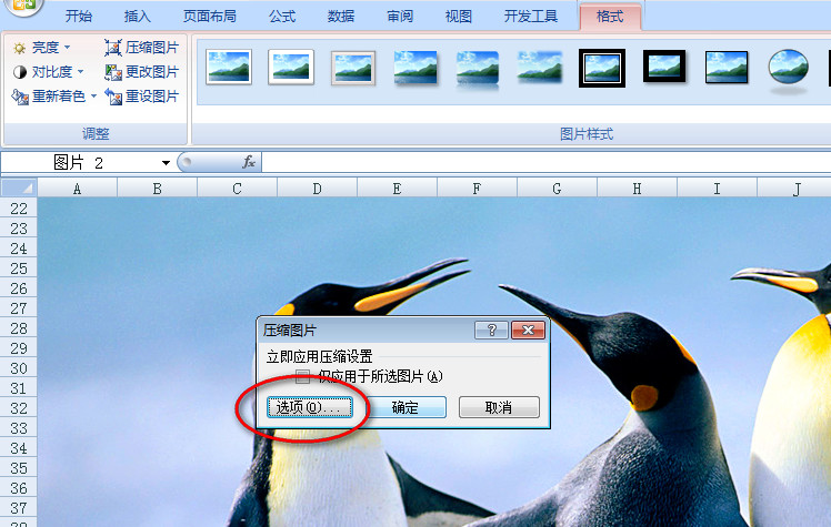 07版的excel怎样全部压缩里面的图片?