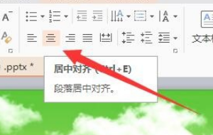 PPT2007怎样文字上下居中？