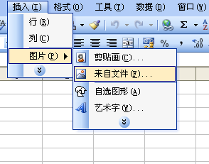 怎么把图片导入Excel表格？