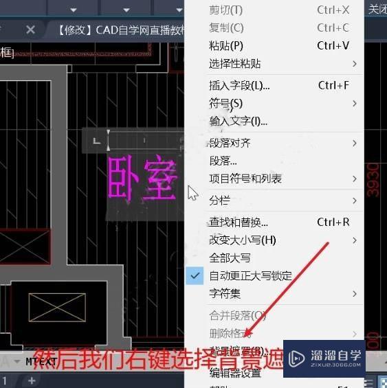 CAD填充后背景遮罩怎么用？