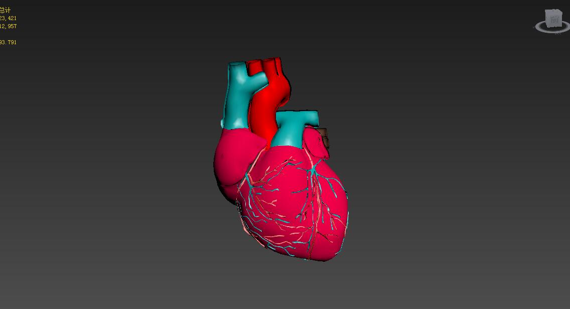 求一个心脏的三维模型-3d溜溜网